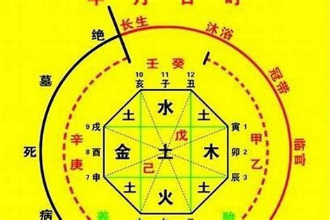 命中喜水|八字喜水是什么意思